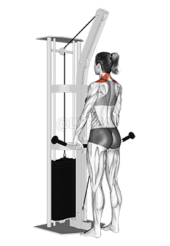 Cable Shrug demonstration