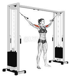 Cable Standing Inner Curl demonstration