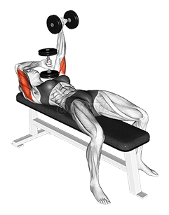 Dumbbell Lying Extension demonstration