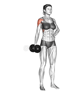 رفع الدمبل بذراع واحدة بشكل جانبي demonstration