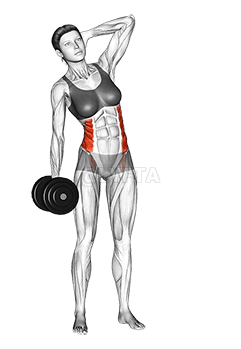 Dumbbell Side Bend demonstration