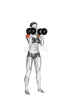 Dumbbell Standing Palms In Press demonstration