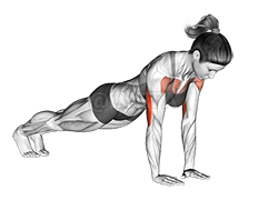 Close-Grip Push-up demonstration