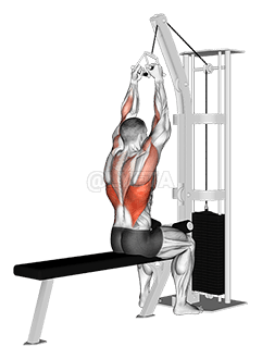 Cable Lateral Pulldown with V-bar demonstration