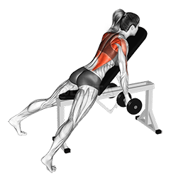 Dumbbell Lying Rear Delt Row demonstration