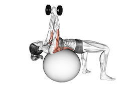 Dumbbell Pullover on Exercise Ball demonstration