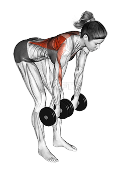 Dumbbell Palm Rotational Bent Over Row demonstration