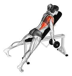 Dumbbell Reverse Grip Incline Bench One Arm Row demonstration