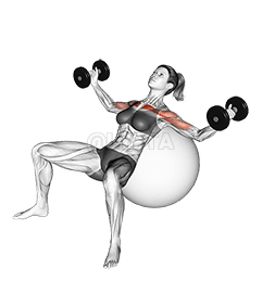Dumbbell Incline Fly on Exercise Ball demonstration