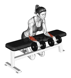 Dumbbell Over Bench Wrist Curl demonstration