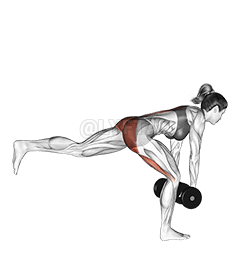 Dumbbell Single Leg Deadlift demonstration