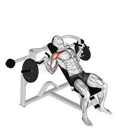 Lever Incline Chest Press demonstration