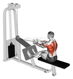 Cable Seated Row with V bar demonstration