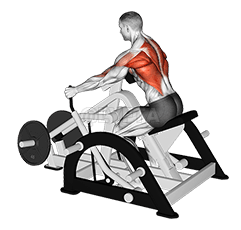 Lever Seated Row