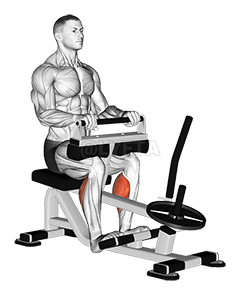 Image of Lever Seated Calf Raise 