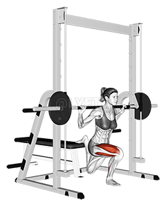 Smith Single Leg Split Squat demonstration