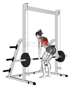 Thumbnail for the video of exercise: Smith Narrow Row