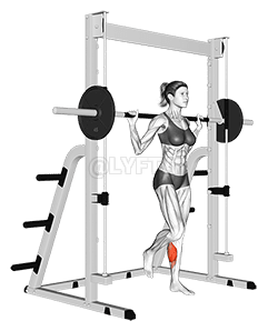 Thumbnail for the video of exercise: Elevación de pantorrilla en el suelo con una pierna Smith