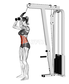 Cable Standing Crunch demonstration