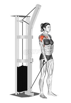 Cable One Arm Front Raise demonstration