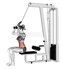 Thumbnail for the video of exercise: Crunch seduto al cavo