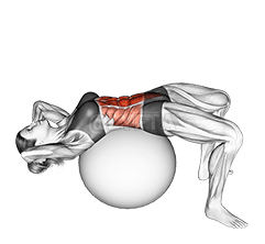 Thumbnail for the video of exercise: Crunch