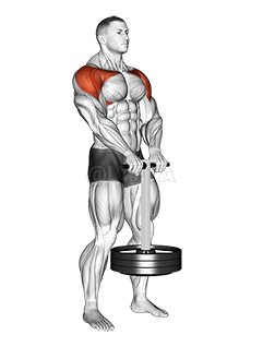 Thumbnail for the video of exercise: StrongMan Front Hold