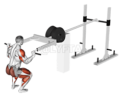 Image of StrongMan Viking Press