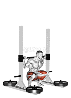 Thumbnail for the video of exercise: StrongMan Squats wit Platform