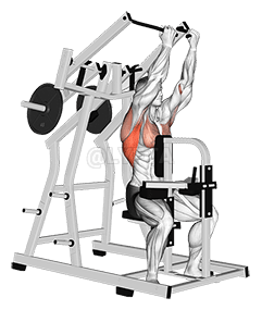 Lever Reverse grip Lateral Pulldown demonstration