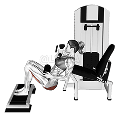 Lever Hip Thrust demonstration
