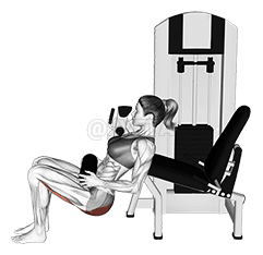 Lever Hip Thrust demonstration