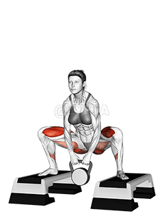 Thumbnail for the video of exercise: Kettlebell Dumbbell Sumo Squat off Stepbox