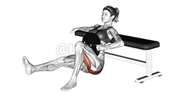 Thumbnail for the video of exercise: Weighted Hip Thrusts