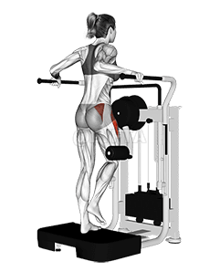 Lever Side Hip Abduction demonstration