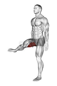 Hip - Adduction - Articulations demonstration