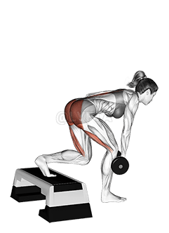 Thumbnail for the video of exercise: Dumbbell Single Leg Deadlift with Stepbox Support