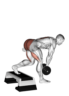 Thumbnail for the video of exercise: Dumbbell Single Leg Deadlift with Stepbox Support