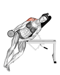 Dumbbell Incline One Arm Lateral Raise demonstration
