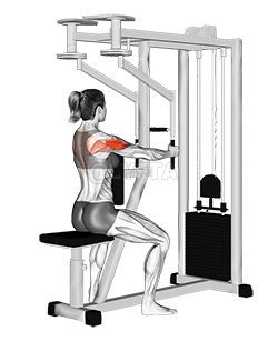 Lever Seated Reverse Fly demonstration