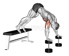 Thumbnail for the video of exercise: Flexión de pica