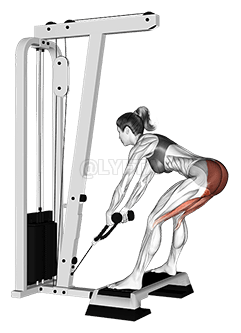 Cable Stiff Leg Deadlift from Stepbox demonstration