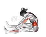 Spine Stretch Forward