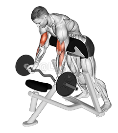 EZ-Barbell Standing Preacher Curl demonstration