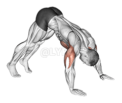 Pike Push up