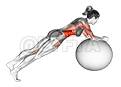 Stability Ball Rounded Rollout demonstration