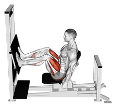 Lever Horizontal Leg Press