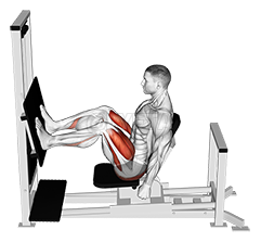 Lever Horizontal Leg Press