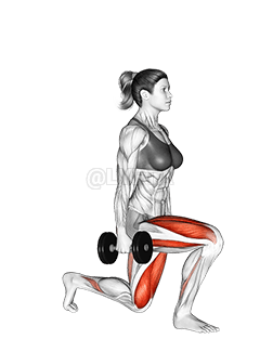 Dumbbell Split Squat demonstration