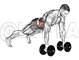 Plank Push-Up Row